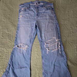 American Eagle AE Strigid Low Rise Baggy Flare 16
